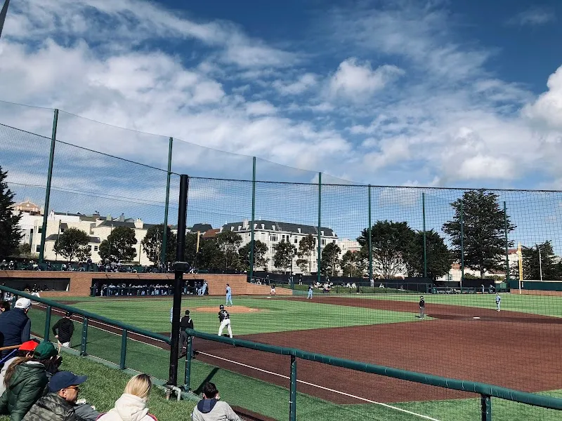 Benedetti Diamond Field
