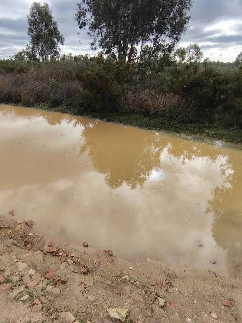 Estadio La Cartuja de Sevilla