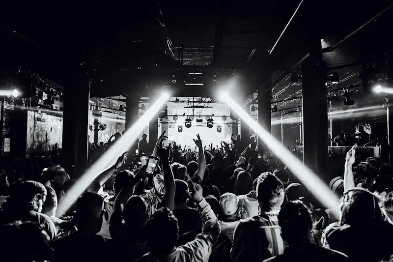 The Ave Live