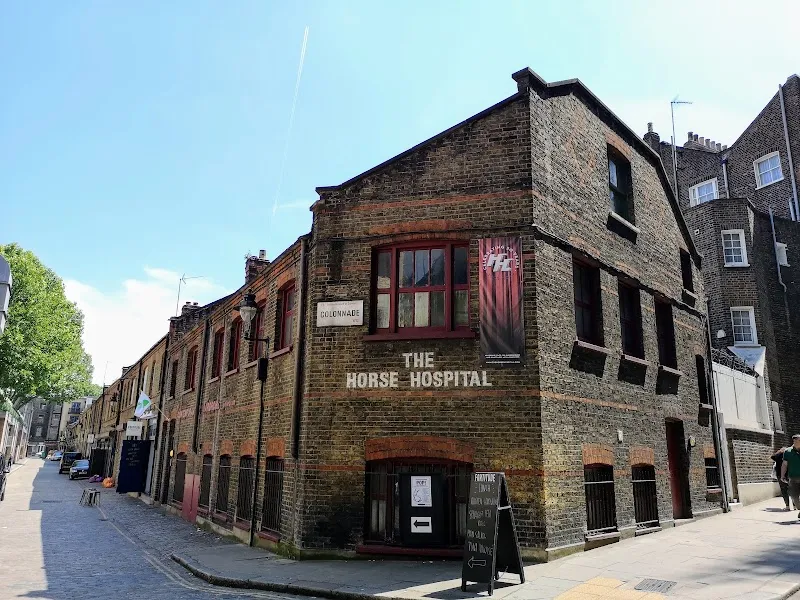 The Horse Hospital