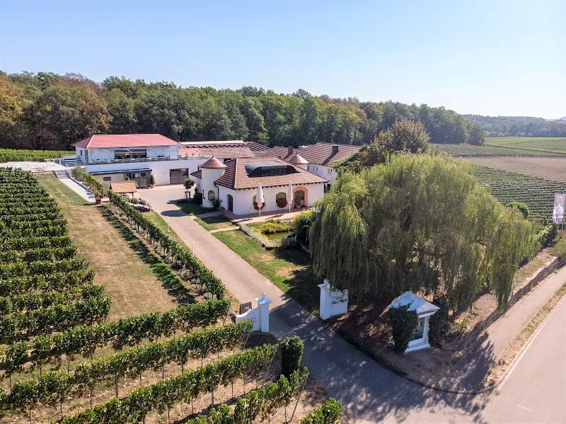 Weingut Kurz-Wagner